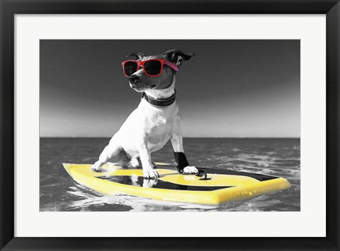 Pop of Color Surf's Up Dog by Color Me Happy