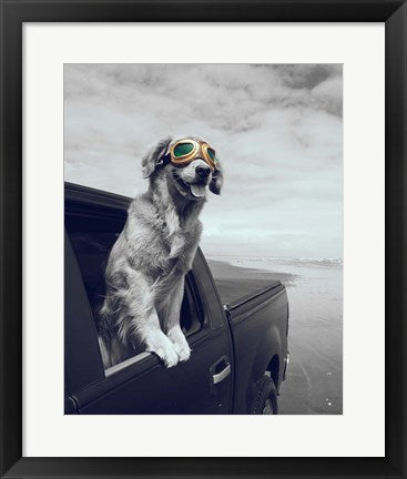 Pop of Color Cool Dog by Color Me Happy