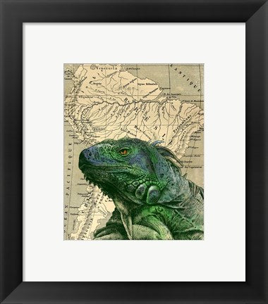 Brazilian Iguana by Take Me Away