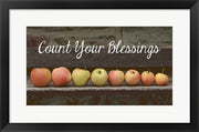 Count Your Blessings Apples by Color Me Happy