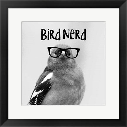 Bird Nerd - Chaffinch by Color Me Happy