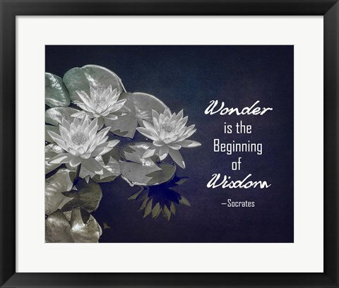 Wonder is the Beginning of Wisdom Water Lily Black and White by Quote Master