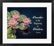Wonder is the Beginning of Wisdom Water Lily Color by Quote Master