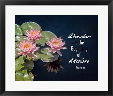 Wonder is the Beginning of Wisdom Water Lily Color by Quote Master