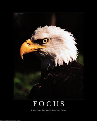 Focus: Eagle Art Print - Inspirational Wildlife Wall Decor | 20x16 Inches