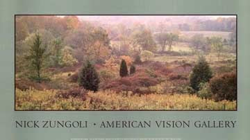 Autumn Panorama by Nick Zungoli - Serene Landscape Wall Art Print 18x32 inch