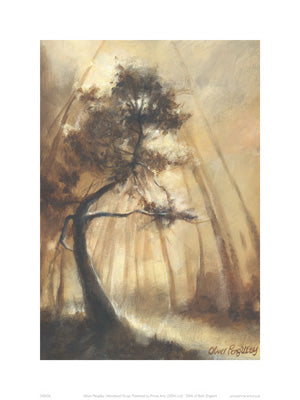 Woodland Grove Art Print by Oliver Pengilley - Serene 15.75 x 11.75 Wall Art Decor