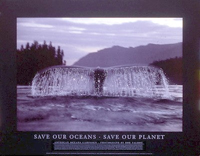 Save Our Oceans, Save Our Planet by Bob Talbot - 24x31 " Marine Life Art Print | Eco-Friendly Wall Decor
