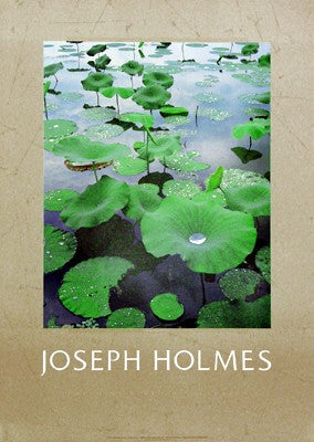 Lily Pads by Joseph Holmes - Serene 35x2 " Wall Art Print for Home Decor