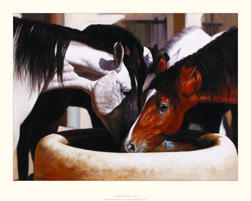 Cool Water by Peter J. Bailey Wall Art Décor 15.7 x 19.7 Art Print