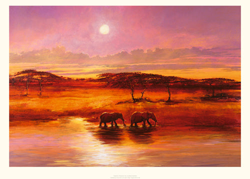 Elephant Shadow by Jonathan Sanders - Abstract Elephant Art Print | Wall Decor 19.7 x 27.6