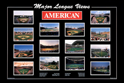 Major League Views: American League by Ira Rosen Wall Art Décor 23 7/8 x 35 7/8 Art Print