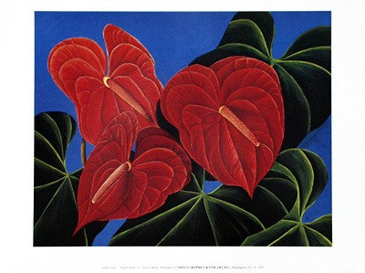 Jungle Heart by Sharon Mack Wall Art Décor 18 x 24 Art Print