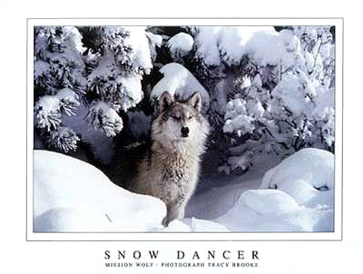 Snow Dancer by Tracy Brooks - Serene Winter Wall Art Print