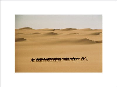 Camel Train, Mauritania Art Print by Barbara Maurer - Desert Landscape Wall Decor
