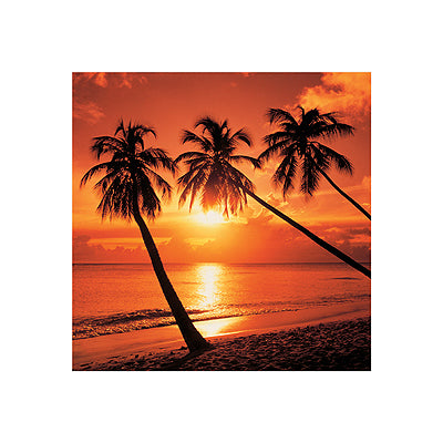 Tropical Sunset by Bob Thomas Wall Art Décor 15 3/4 x 15 3/4 Art Print