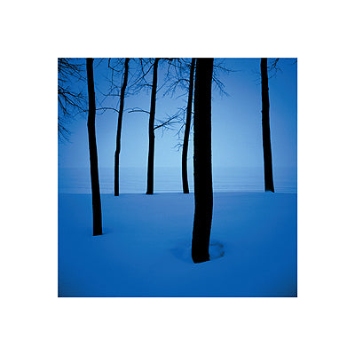 Trees in Snow by Ted Wood Wall Art Décor 15 3/4 x 15 3/4 Art Print
