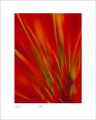 Flexi Grass, Bright Green on Red by Michael Banks Wall Art Décor 19 3/4 x 15 3/4 Art Print