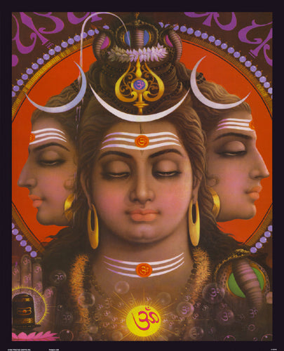 Shiva by Anon Wall Art Décor 20 x 16 Art Print