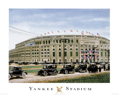 Darryl Vlasak Yankee Stadium Art Print - 16x20 " Wall Art Décor