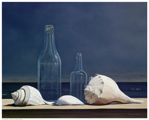 Seaglass and Shells by Daniel Pollera Wall Art Décor 16 1/2 x 20 1/2 Art Print