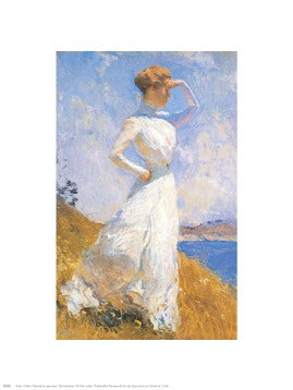 Sunlight by Joaquin Sorolla Wall Art Décor 30 x 24 Art Print