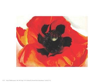 Poppy by Georgia O'Keeffe Wall Art Décor 8 x 10 Art Print