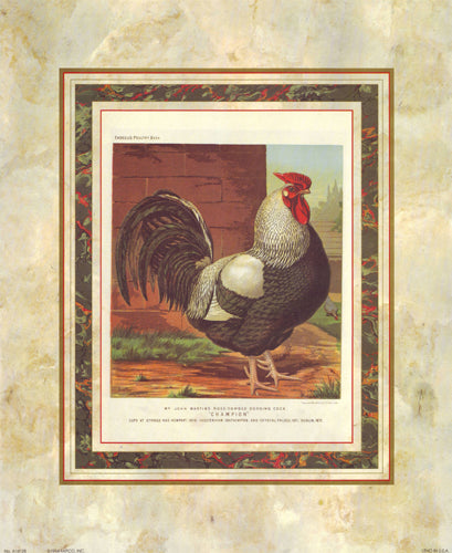 Rose-Combed Dorking Cock from Cassell's Poultry Book by J.W. Ludlow Wall Art Décor 17 x 14 Art Print