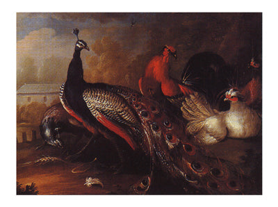 Peacock and Pheasant by Marmaduke Craddock Wall Art Décor 20 ¼ x 27 ¼ Art Print