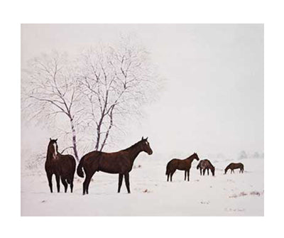 Crisp Glen by R. William Couch Wall Art Décor 22 x 26 1/4 Art Print