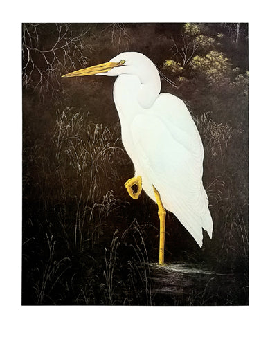 Great White Heron by Gerard Smith Wall Art Décor 24 x1/2 x 19 1/8 Art Print