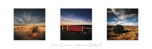 Desert Series I by John Todaro Wall Art Décor 11 ¾ x 36 Art Print