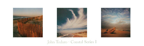 Coastal Series I by John Todaro Wall Art Décor 11 ¾ x 36 Art Print