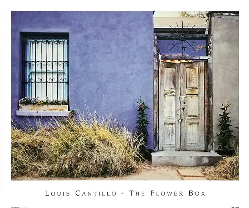 The Flower Box by Louis Cantillo Wall Art Décor 14 ¾ x 17 ½ Art Print