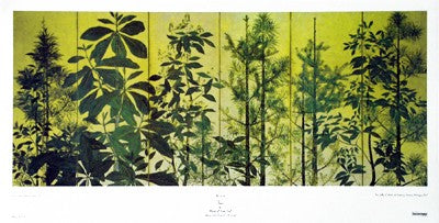 Trees Early Edo Period 17th Century Japan by Anon Wall Art Décor 18 x 35 Art Print