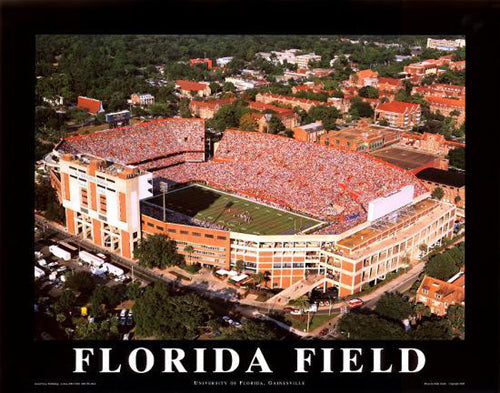 Florida Field - University of Florida, Gainesville by Mike Smith Wall Art Décor 22 x 28 Art Print