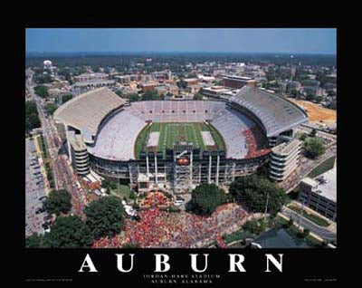Auburn University - Jordan Stadium, Auburn, Alabama by Mike Smith Wall Art Décor 22 x 28 Art Print