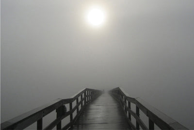 Into the Fog I by Gary Bydlo Wall Art Décor 8 x 10 Art Print