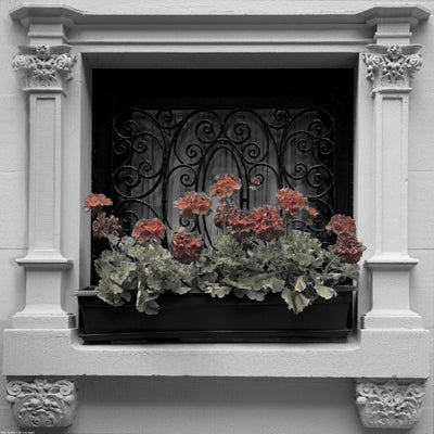 Architectural Detail No. 56 by Ellen Fisch Wall Art Décor 12 x 12 Art Print