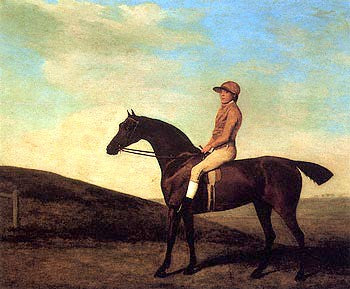 Rosaletta by George Stubbs Wall Art Décor 24 x 27 Art Print