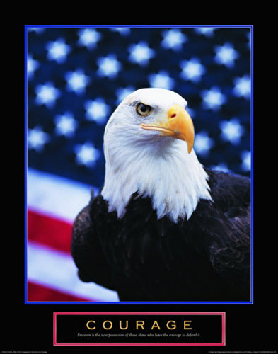 Courage: Eagle & Flag by Anon Wall Art Décor 28 x 22 Art Print