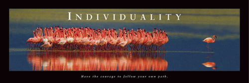 Individuality - Flamingos by Anon Wall Art Décor 12 x 36 Art Print
