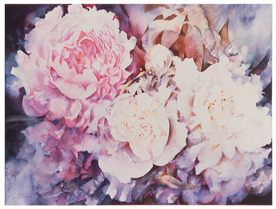 Peonies by David Maddern Wall Art Décor 24 x 32 Art Print