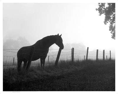 Morning Pasture by Anon Wall Art Décor 11 1/2 x 14 1/2 Art Print