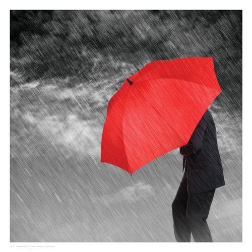 Weathering the Storm by Anon Wall Art Décor 13 x 13 Art Print