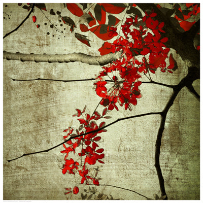 Red Kerala Blossoms by Anon Wall Art Décor 16 1/2 x 16 1/2 Art Print