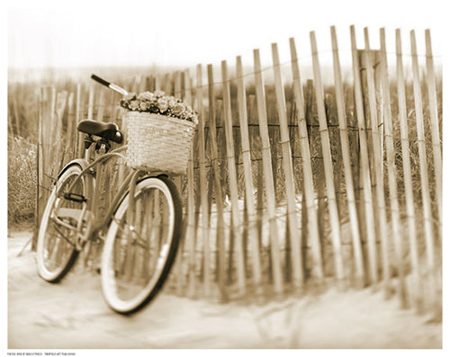 Bike by Beach Fence by Anon Wall Art Décor 11 1/2 x 14 1/2 Art Print