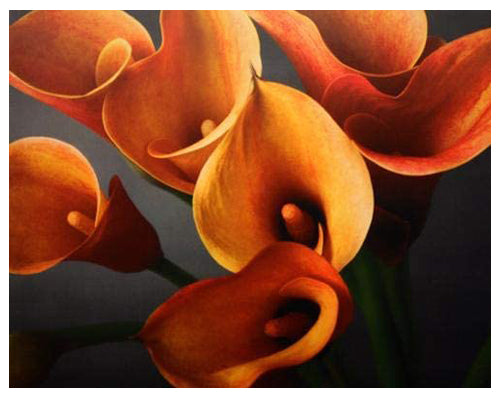 Calla Lily Bouquet by Anon Wall Art Décor 11 ½ x 14 ½ Art Print