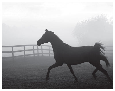 Morning Pasture II by Anon Wall Art Décor 11 1 /2 x 14 1/2 Art Print