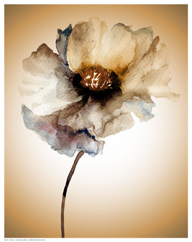 Blossom in Sienna by Regina Wall Art Décor 14 1/2 x 11 1/2 Art Print